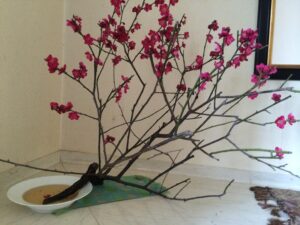 田中邸玄関の梅